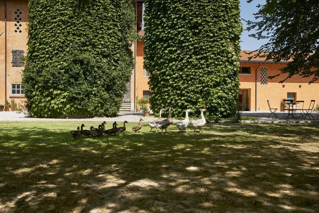 Al Canton Agriturismo Di Design San Michele al Tagliamento Dış mekan fotoğraf